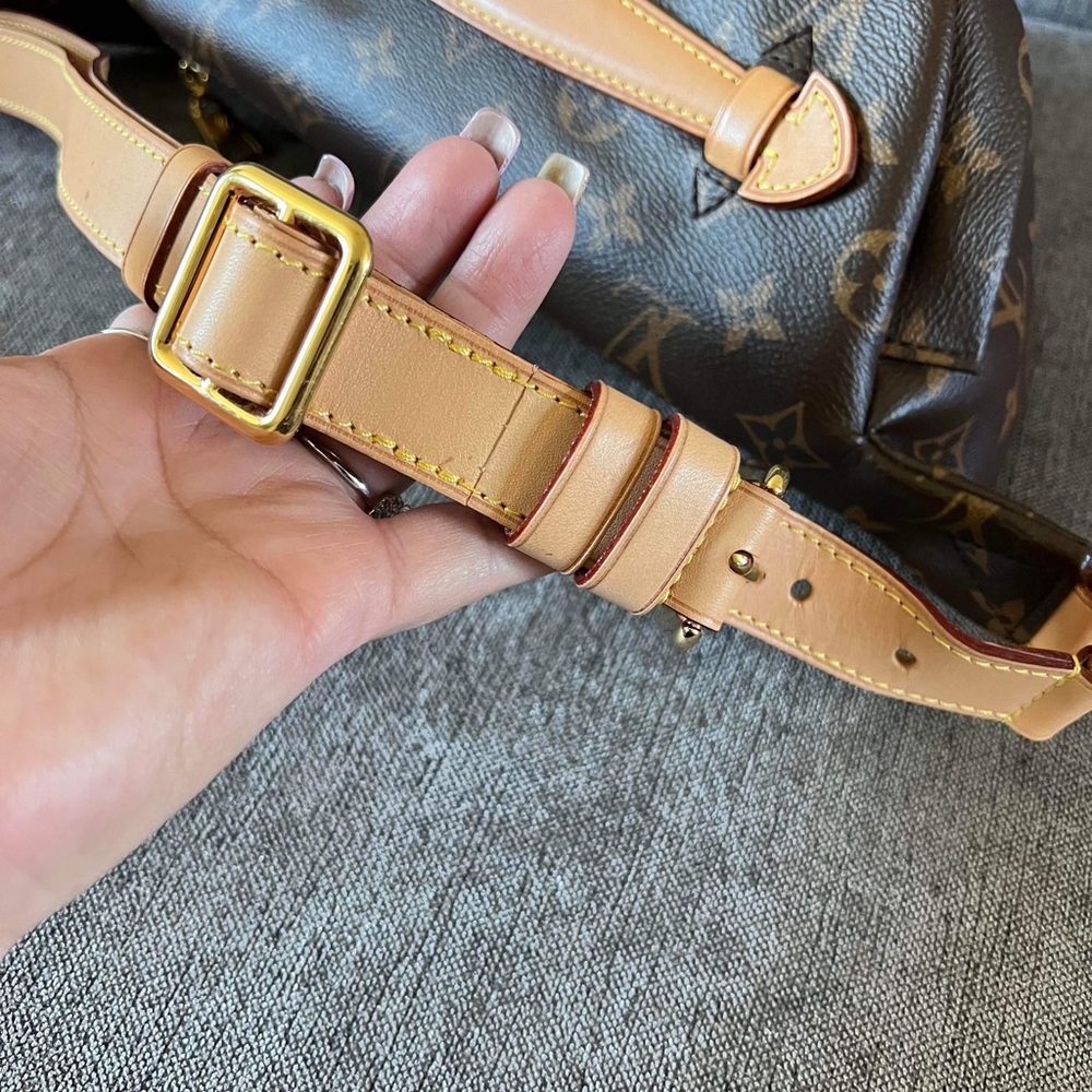 Louis Vuitton Monogram Bumbag - Picture 14 of 16